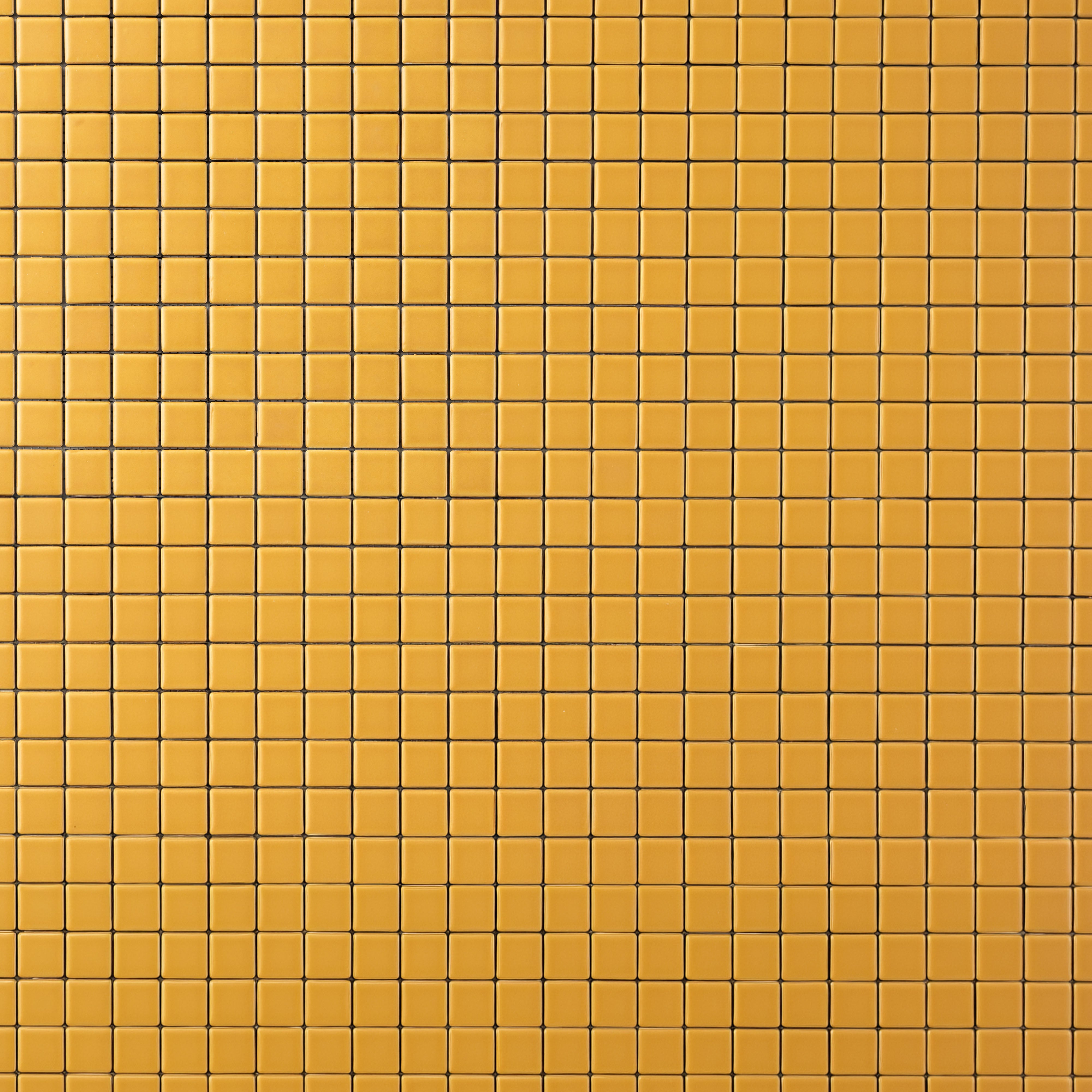 Petite Carré Colors (Sample Size)