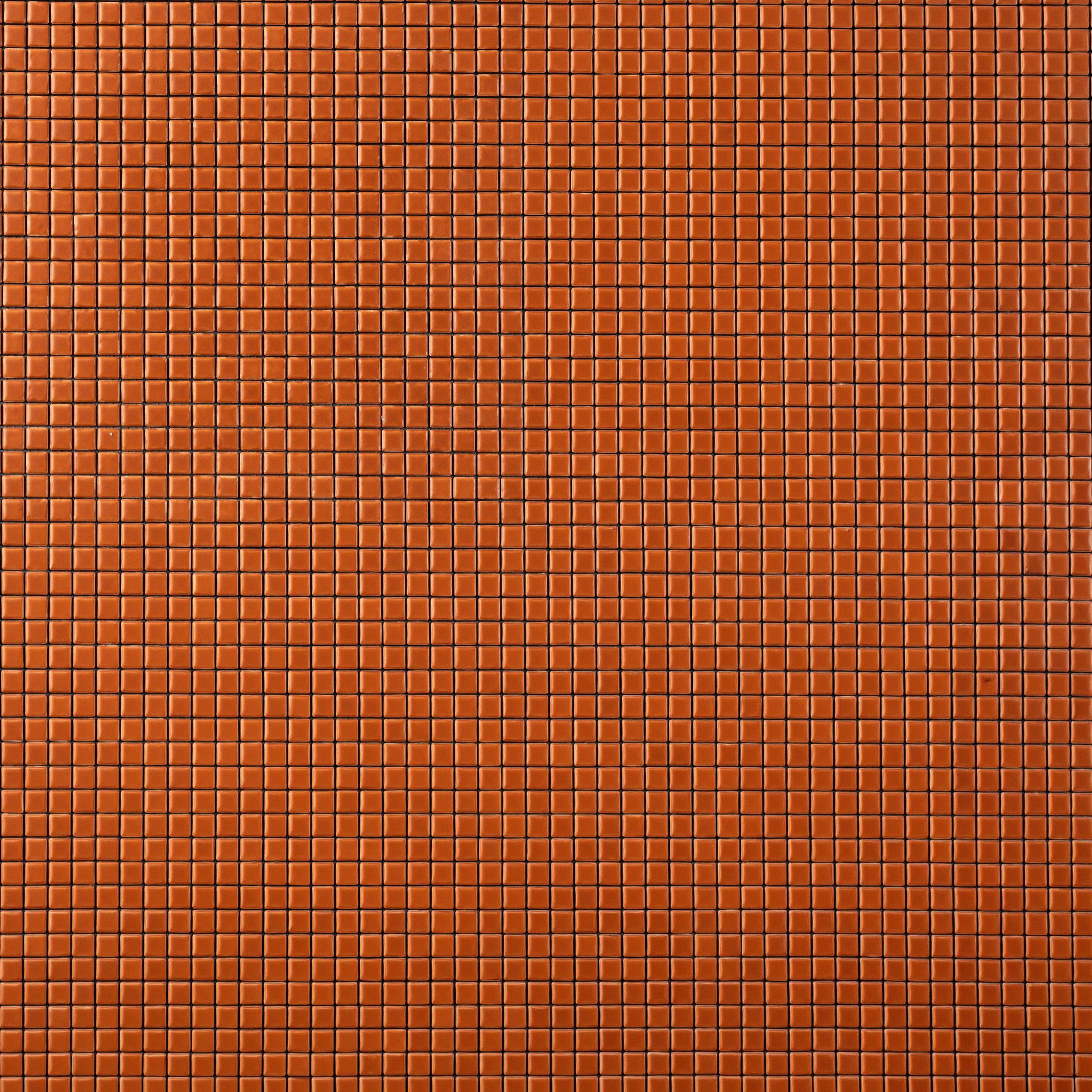 Petite Carré Colors (Sample Size)
