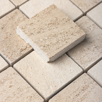 Checker 2x2 Mosaic | Relvinha + Portland Creme Limestone