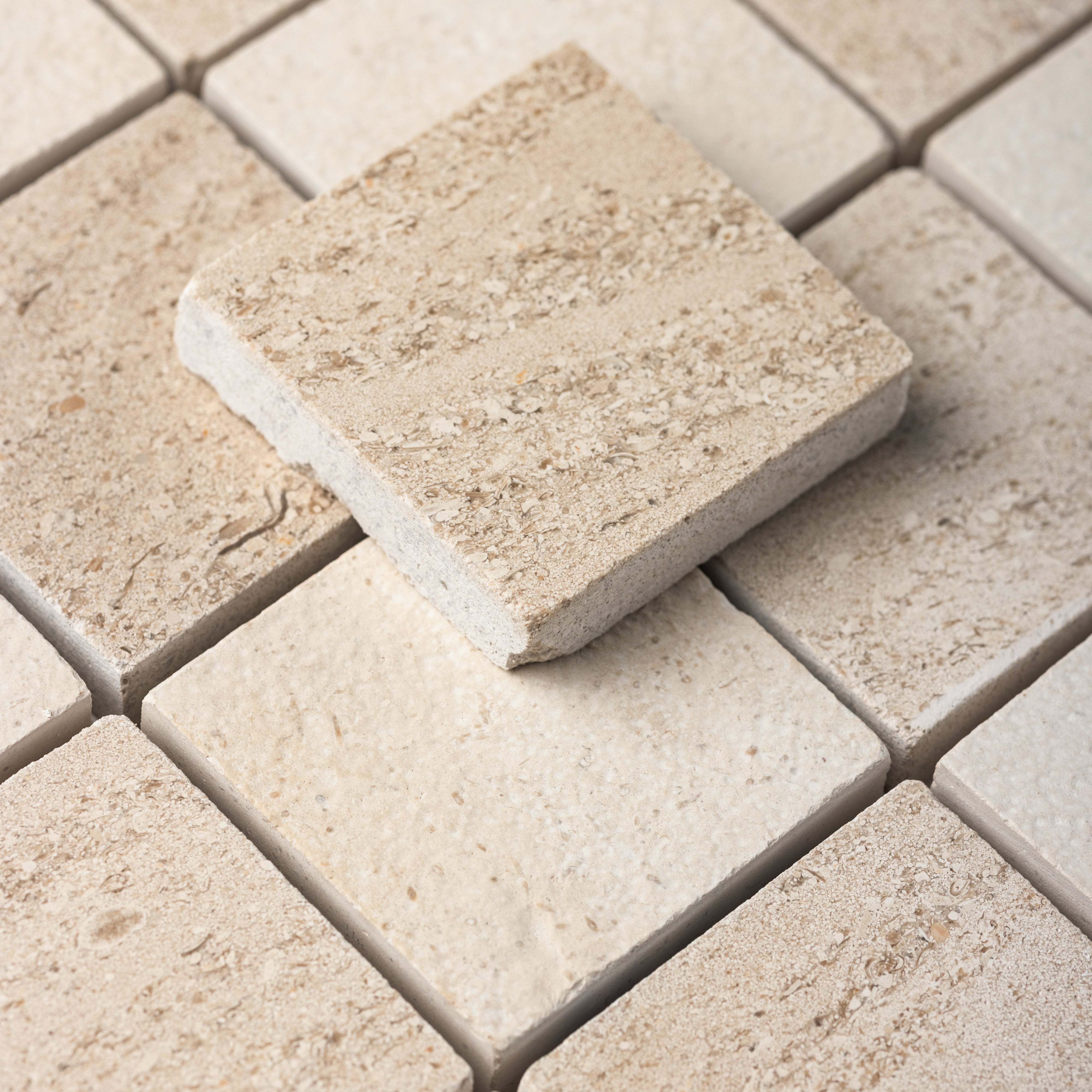 Checker 2x2 Mosaic | Relvinha + Portland Creme Limestone