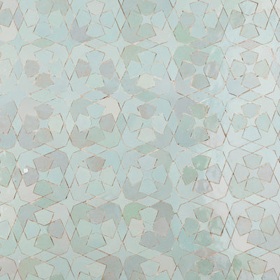 Zellige Mosaic 766 | Color: (831)