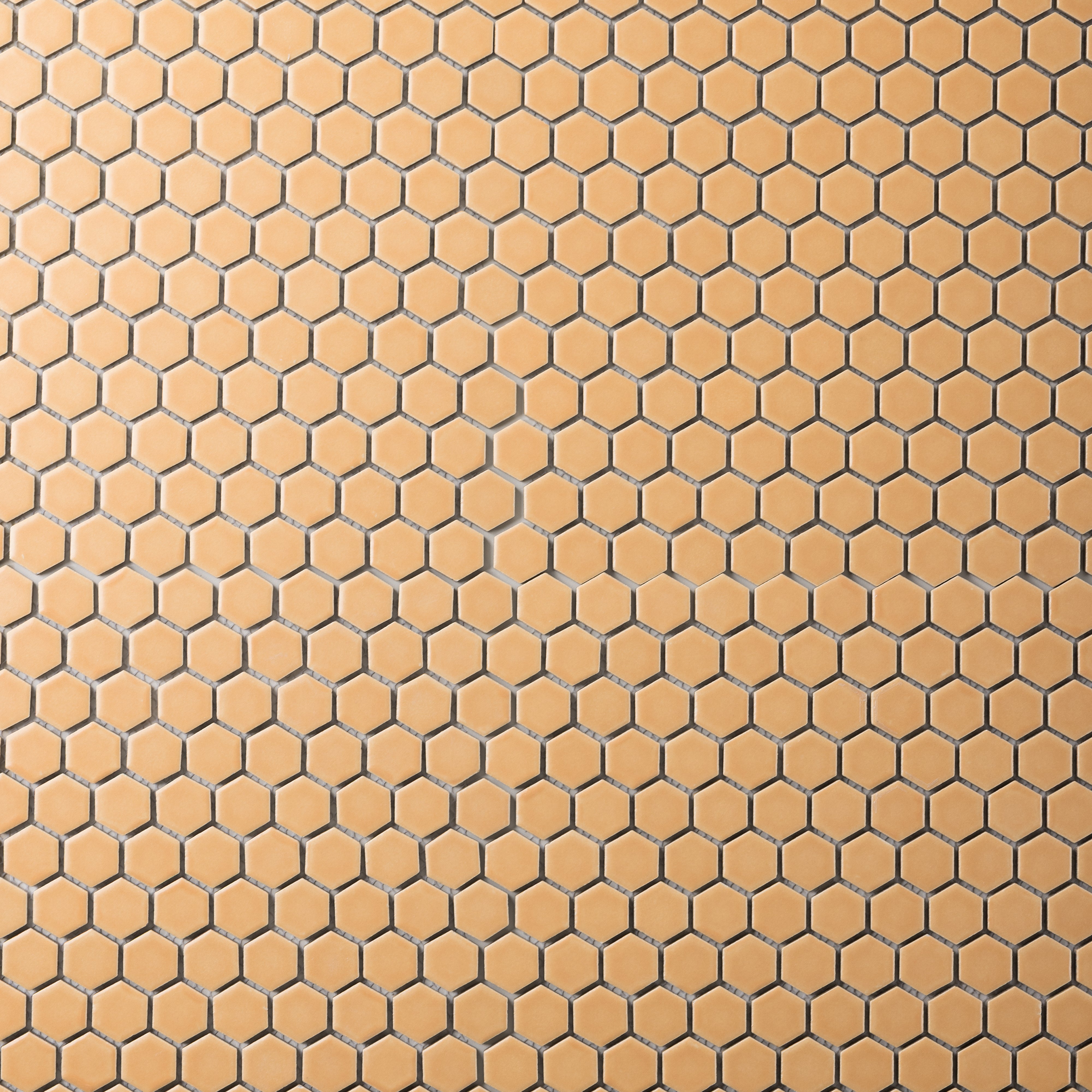 Hexagon Colors (Sample Size)