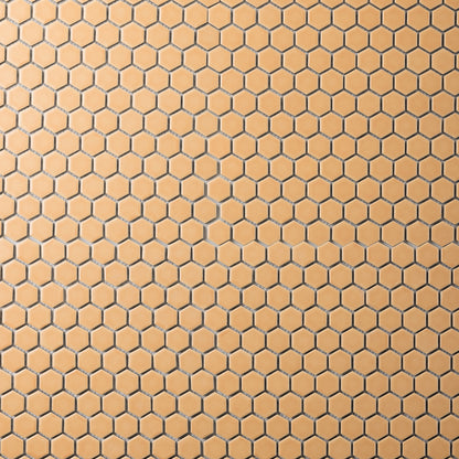 Hexagon Colors (Sample Size)