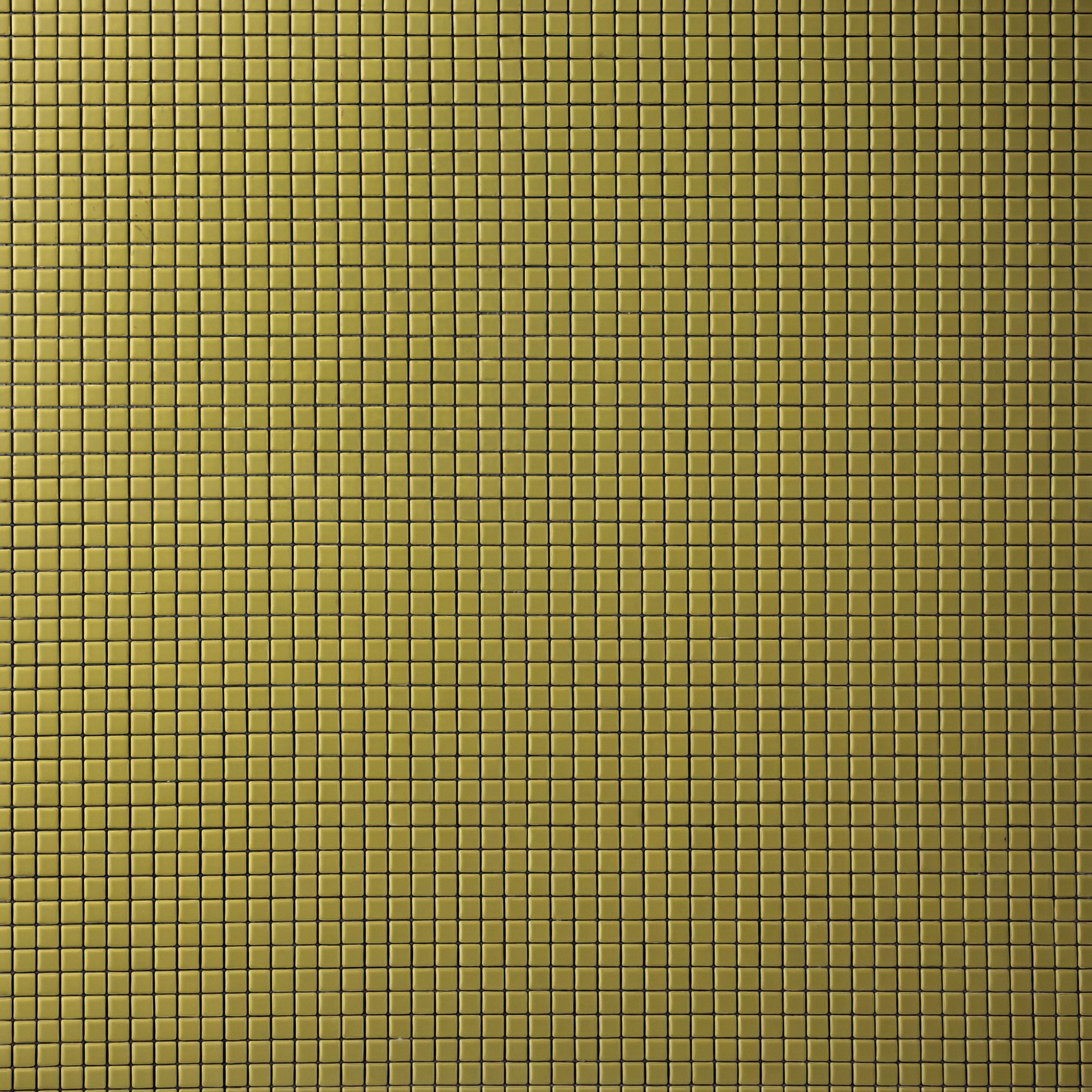 Petite Carré Colors (Sample Size)