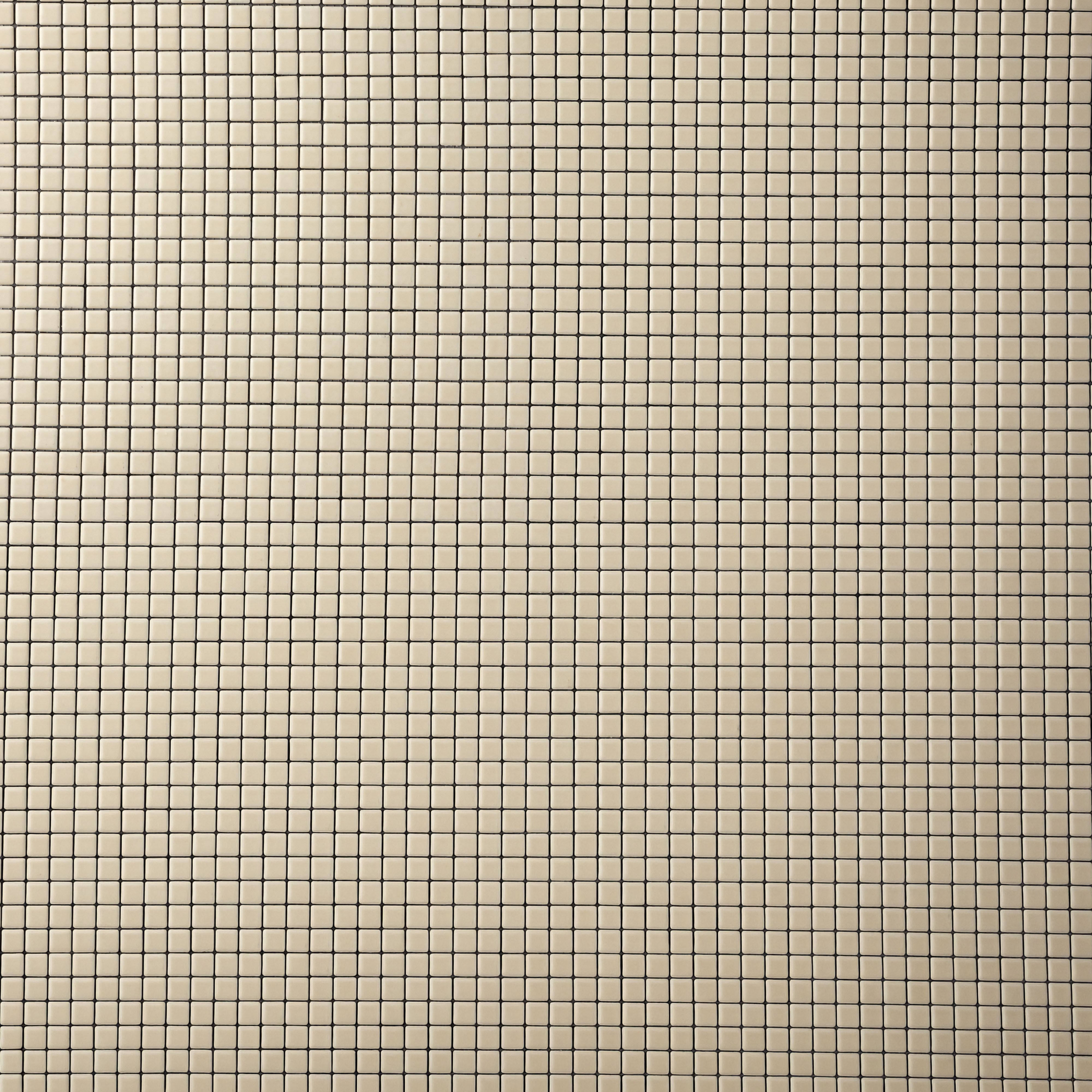 Petite Carré Colors (Sample Size)