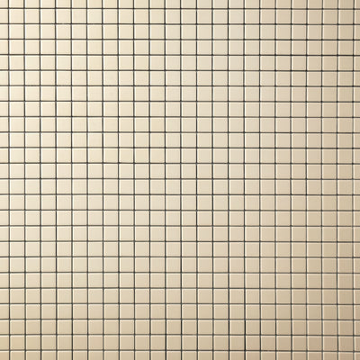 Petite Carré Colors (Sample Size)
